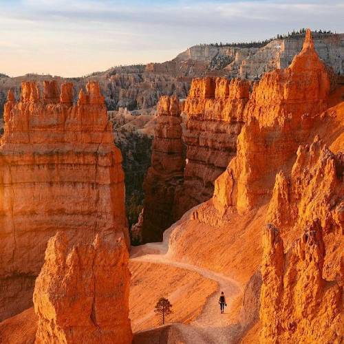 عین اله مریمی ای خار آمدوم فرخارو میروم لالا رد یار آمدوم بی یارو میروم لالا